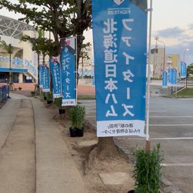 プロ野球キャンプイン！私はマンゴーハウスへキャンプイン！の画像