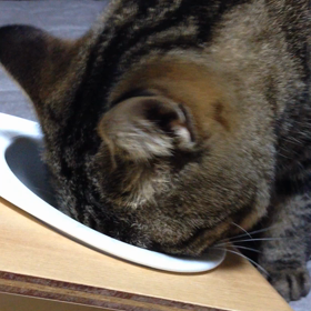 朝ごはんの画像