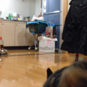 Boom！Boom！Boom！の画像