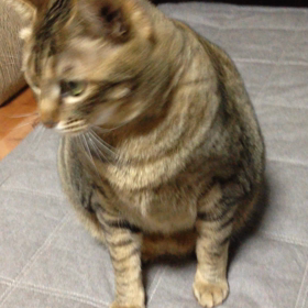 れっつ♡えくささいずぅの画像
