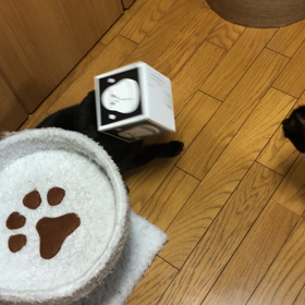 ”エネゴリくん”の画像