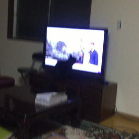 じゃれてる(^^)の画像
