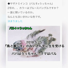 ”幸せなのは僕でした”の画像