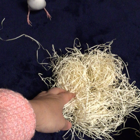 巣作りの画像