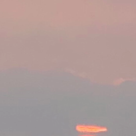 桜坂の画像