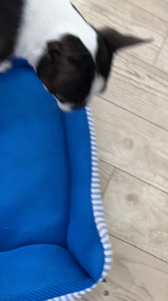 9月の予約状況∩^ω^∩の記事動画