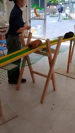 介護が始まったばかりだけどの記事動画