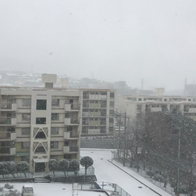 今日も吹雪の画像