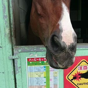 2020年2月29日にテスト投稿の画像