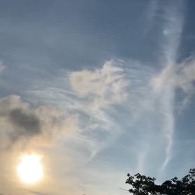 2024/08/07の画像