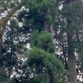 2024/09/18の画像