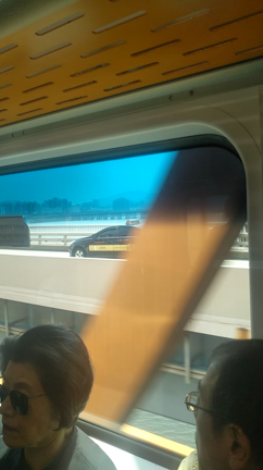 ソウル3日目　カロスキル〜江南市庁駅　ハード過ぎた1日　パート2の記事動画