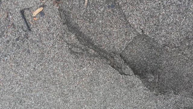爆釣サーフの記事動画