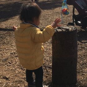木の枝遊びの画像