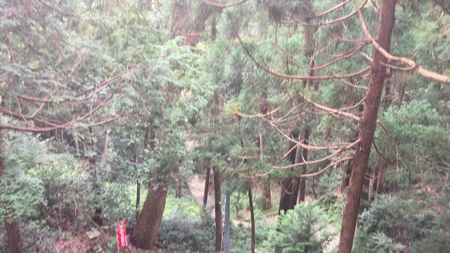 さらに、情報解禁…！の記事動画