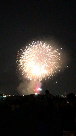 花火♪の記事動画