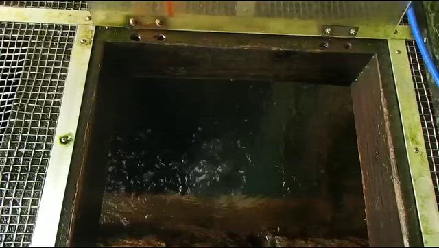 道の駅 金山から『金山町大塩天然炭酸場』への記事動画
