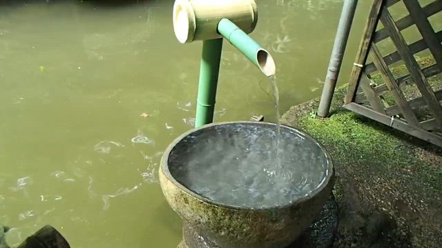 日本一うまいトコロテンで頂いたのは？の記事動画