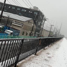 雪ぃ⋯の画像