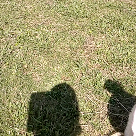 ダイナミック❗️の画像