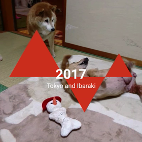 まみの画像