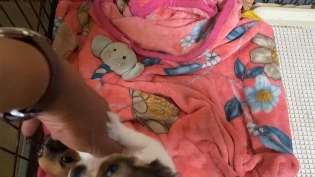 つむぐ君の記事動画