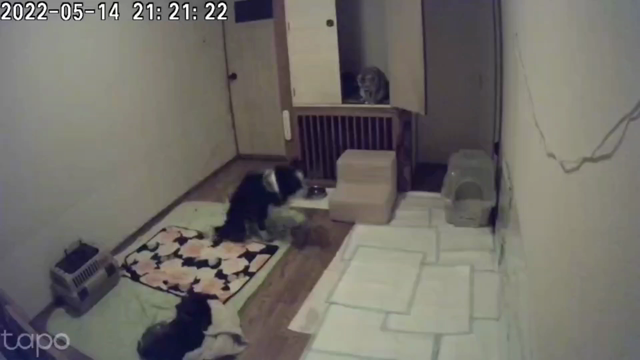 5/14(土)のホテルの様子の記事動画