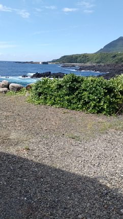 屋久島トレッキング　縄文杉の記事動画