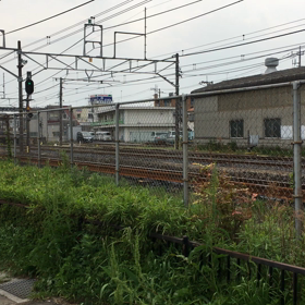 四季島の画像