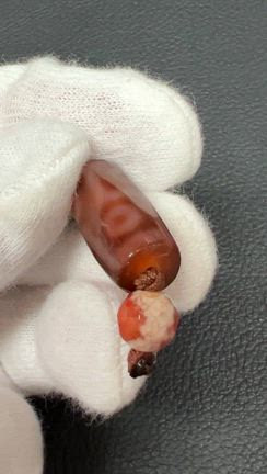 老天珠　六眼　ジービーズ　チベット族　アバの記事動画