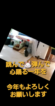 あけましておめでとうございますの記事動画