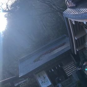 2020 黄金ハートの旅 Page 13 ☆のサムネイル画像