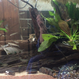 特に意味もなく...の画像