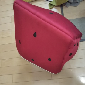 パグ亀の画像