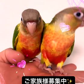 2024/06/20の画像
