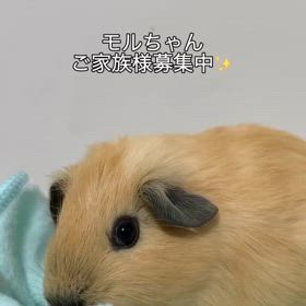 2024/07/01の画像