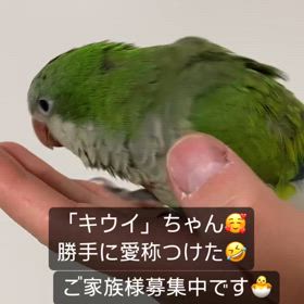 2024/05/25の画像