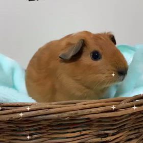 2024/06/29の画像
