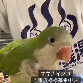 2024/05/27の画像