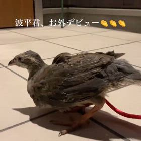 2024/06/29の画像