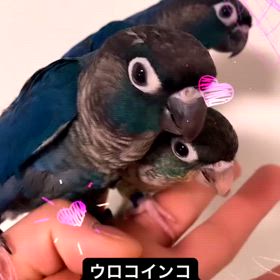 2024/06/19の画像
