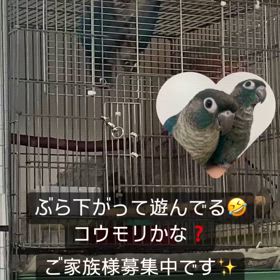 2024/05/27の画像