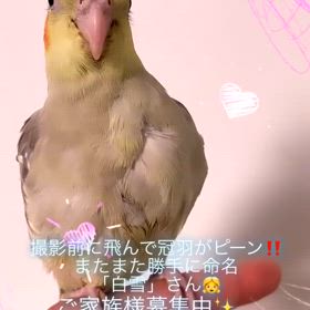 2024/07/02の画像