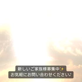 2024/05/11の画像
