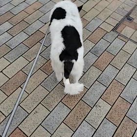 気持ちは通じる？の画像