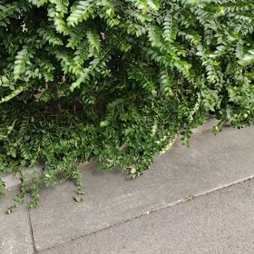 台風の画像