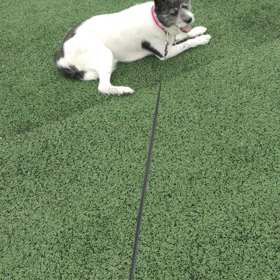 照れ隠し？の画像