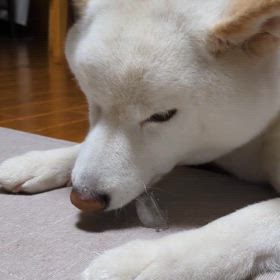 2024/06/22の画像