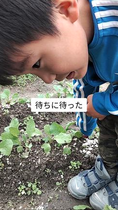 大型連休の記事動画