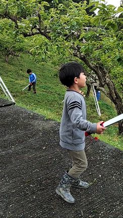 大型連休の記事動画